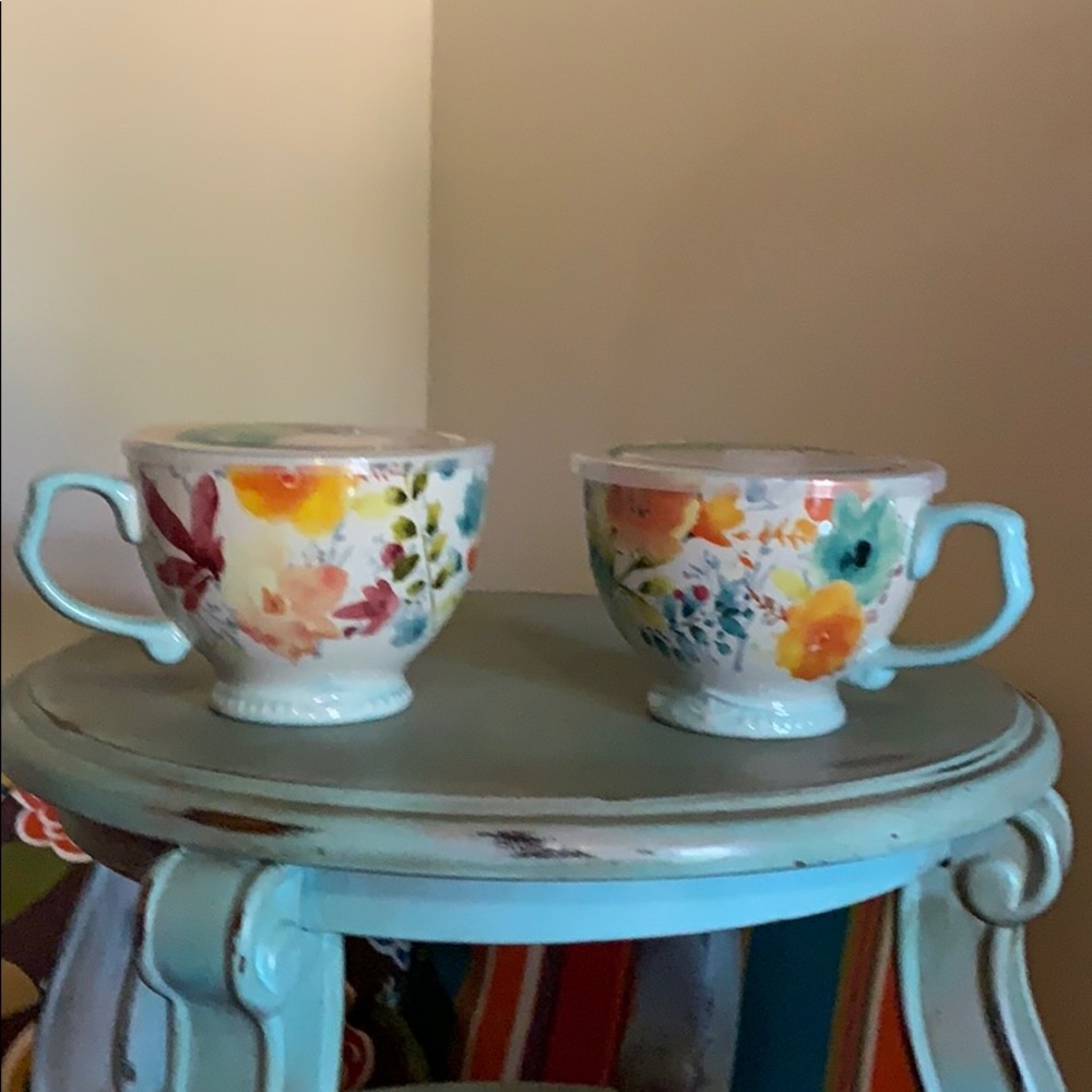 The pioneer woman soup cups